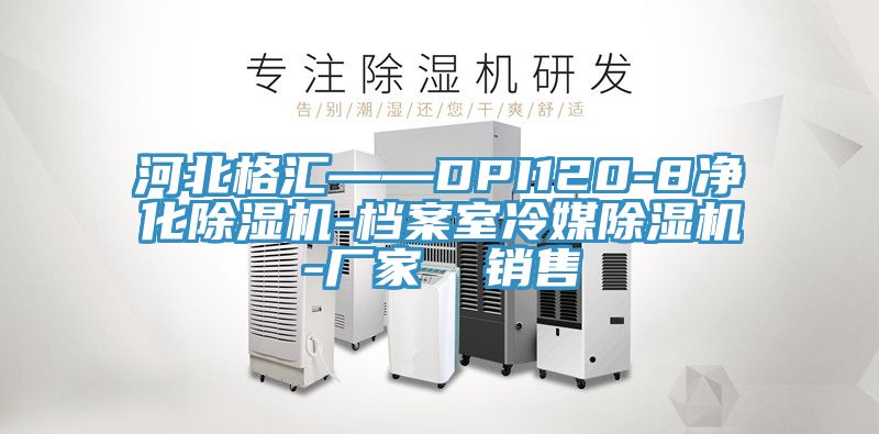 河北格汇——DPI120-8净化免费看操逼软件-档案室冷媒免费看操逼软件-厂家  销售