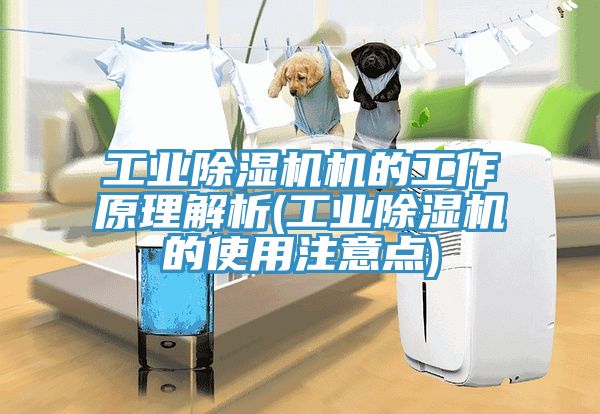 工业免费看操逼软件机的工作原理解析(工业免费看操逼软件的使用注意点)