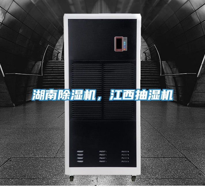 湖南免费看操逼软件，江西抽湿机