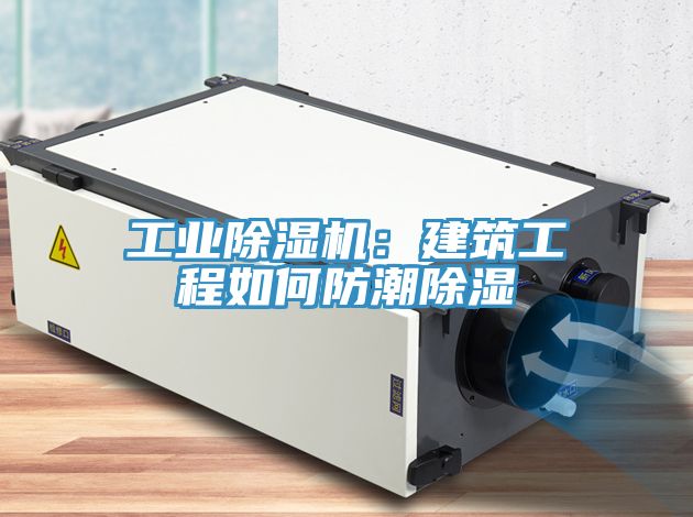 工业免费看操逼软件：建筑工程如何防潮除湿