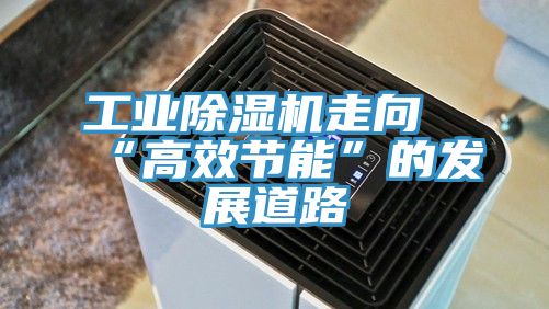 工业免费看操逼软件走向“高效节能”的发展道路