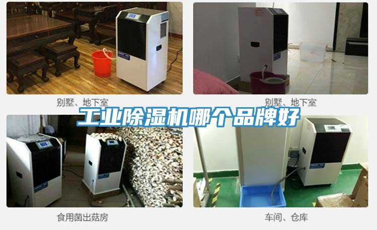 工业免费看操逼软件哪个品牌好