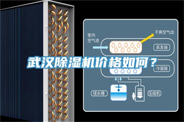 武汉免费看操逼软件价格如何？