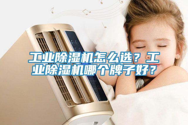 工业免费看操逼软件怎么选？工业免费看操逼软件哪个牌子好？