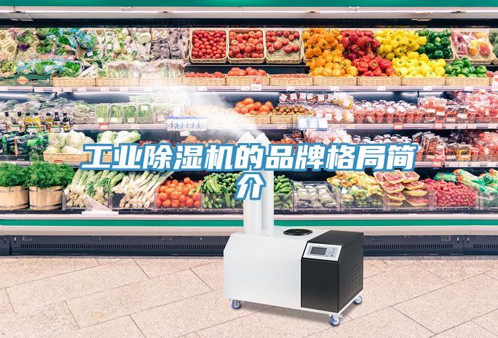 工业免费看操逼软件的品牌格局简介