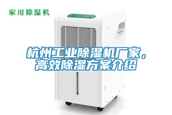 杭州工业免费看操逼软件厂家，高效除湿方案介绍