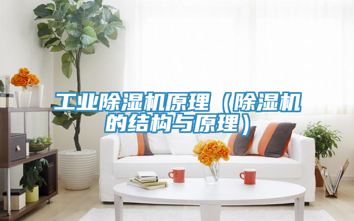 工业免费看操逼软件原理（免费看操逼软件的结构与原理）