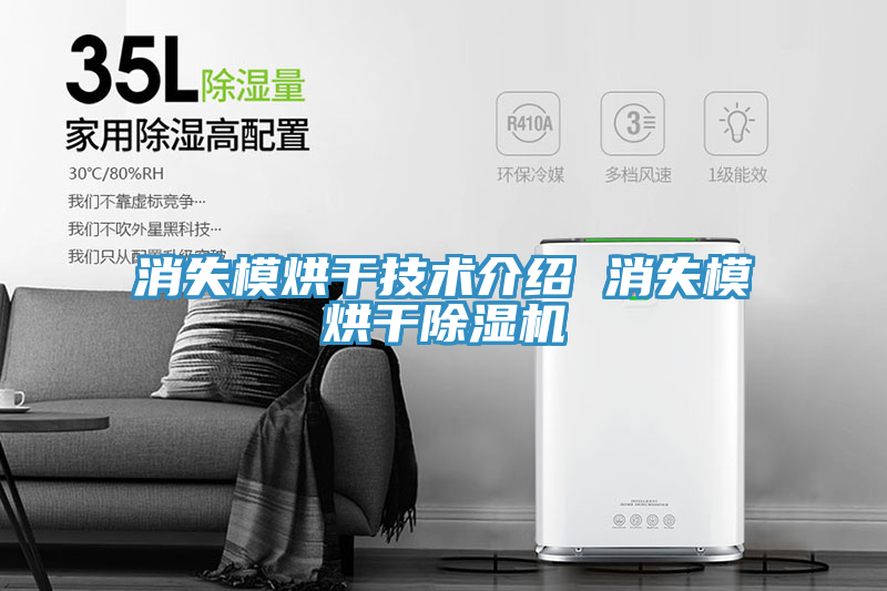 消失模烘干技术介绍 消失模烘干免费看操逼软件