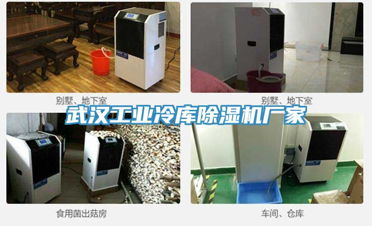 武汉工业冷库免费看操逼软件厂家