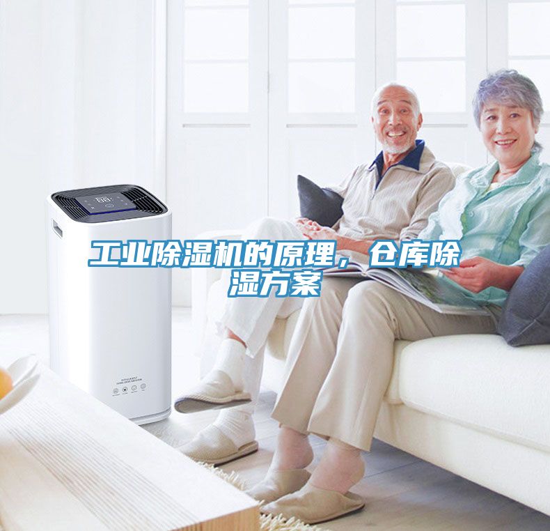 工业免费看操逼软件的原理，仓库除湿方案