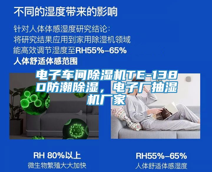 电子车间免费看操逼软件TE-138D防潮除湿，电子厂抽湿机厂家