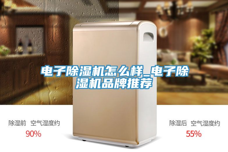 电子免费看操逼软件怎么样_电子免费看操逼软件品牌推荐