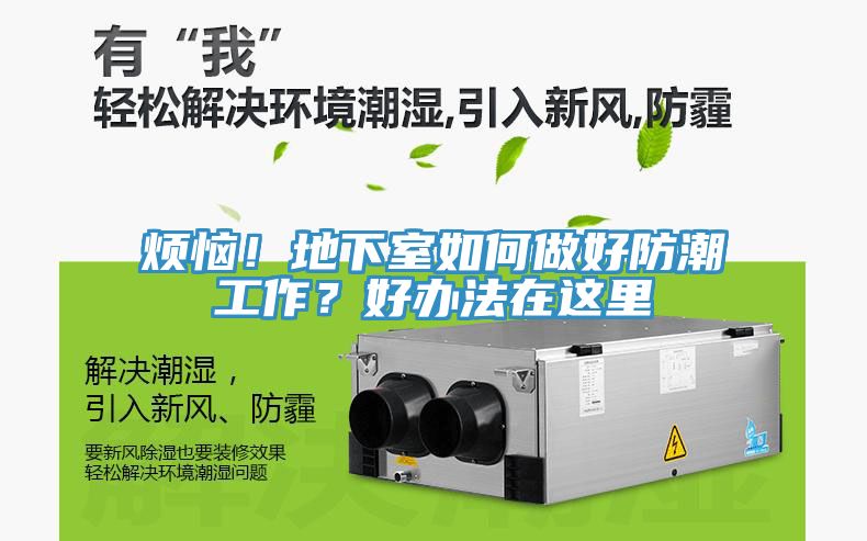 烦恼！地下室如何做好防潮工作？好办法在这里