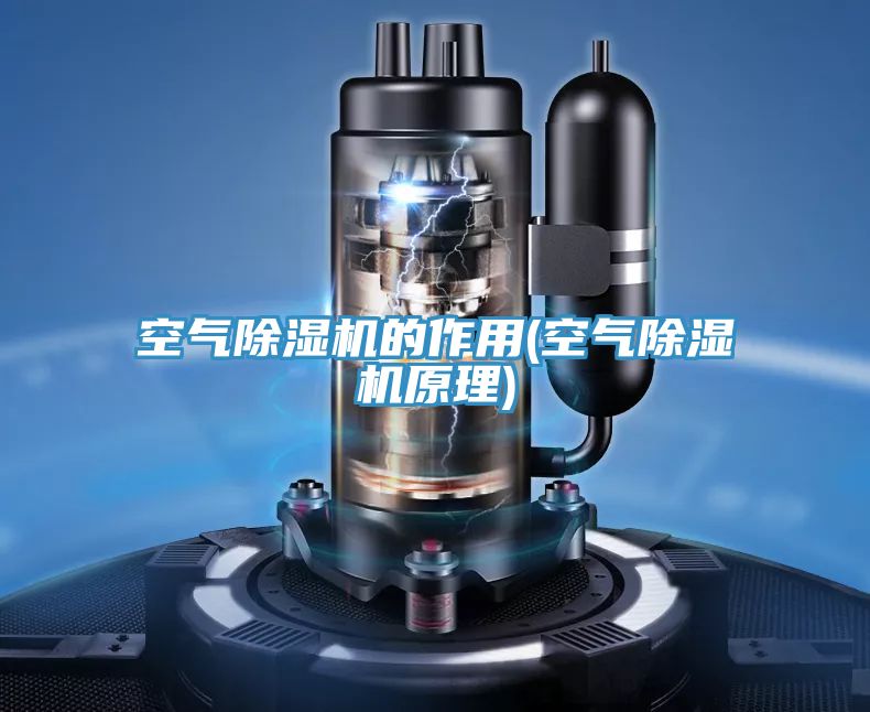 空气免费看操逼软件的作用(空气免费看操逼软件原理)
