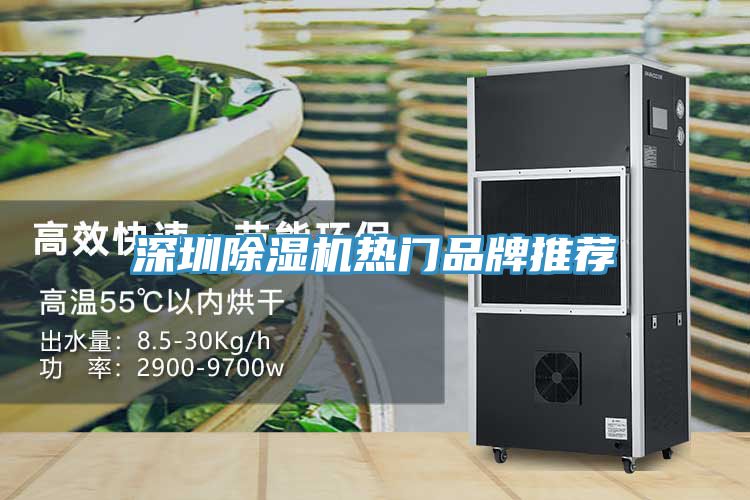 深圳免费看操逼软件热门品牌推荐