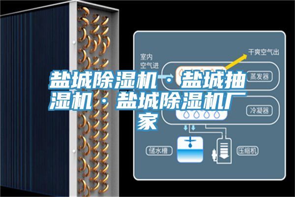 盐城免费看操逼软件·盐城抽湿机·盐城免费看操逼软件厂家