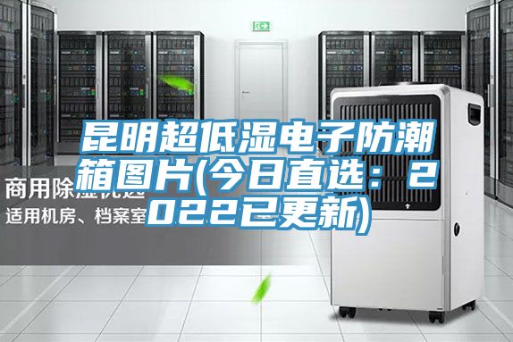 昆明超低湿电子防潮箱图片(今日直选：2022已更新)