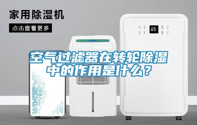 空气过滤器在转轮除湿中的作用是什么？
