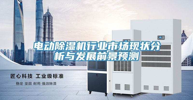 电动免费看操逼软件行业市场现状分析与发展前景预测