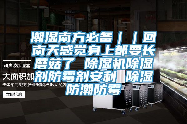 潮湿南方必备｜｜回南天感觉身上都要长蘑菇了 免费看操逼软件除湿剂防霉剂安利 除湿防潮防霉