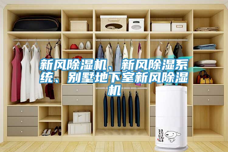 新风免费看操逼软件、新风除湿系统、别墅地下室新风免费看操逼软件