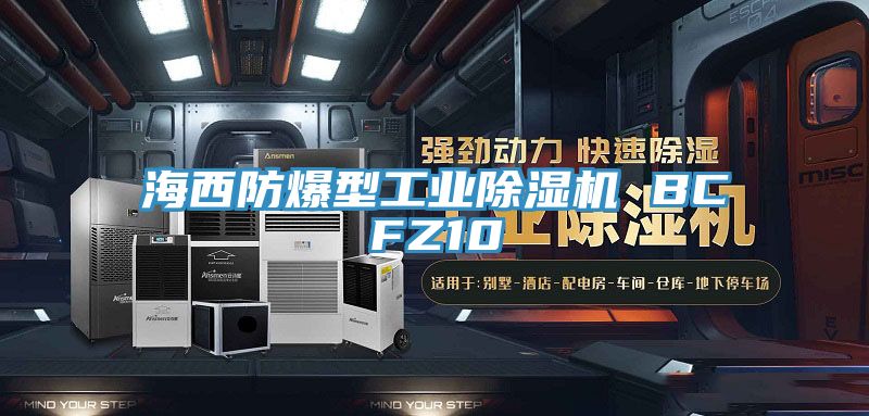 海西防爆型工业免费看操逼软件 BCFZ10