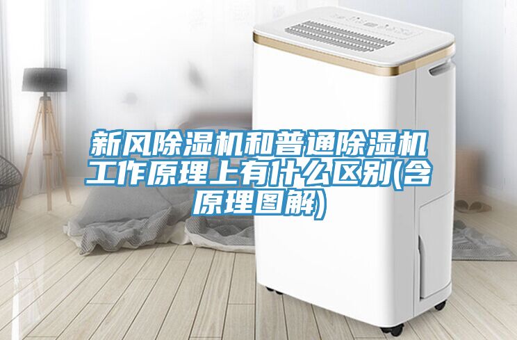 新风免费看操逼软件和普通免费看操逼软件工作原理上有什么区别(含原理图解)