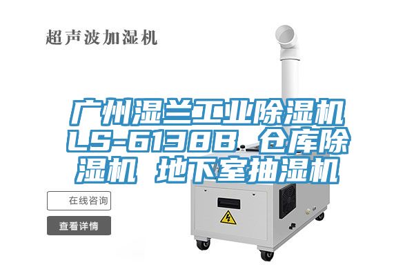 广州湿兰工业免费看操逼软件LS-6138B 仓库免费看操逼软件 地下室抽湿机