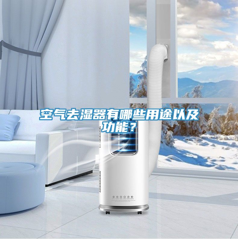 空气去湿器有哪些用途以及功能？