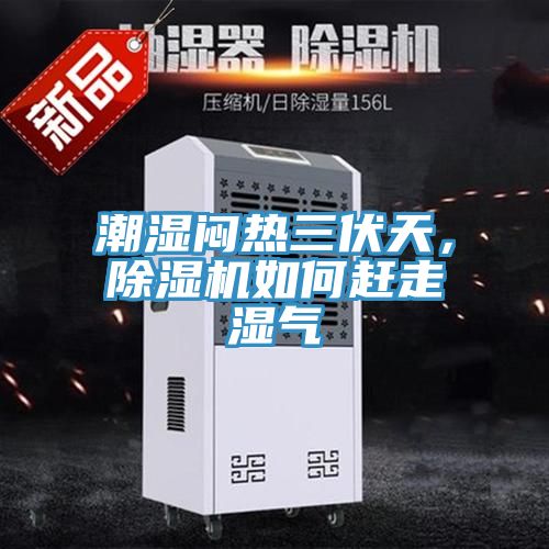 潮湿闷热三伏天，免费看操逼软件如何赶走湿气