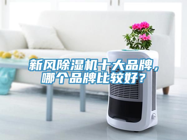新风免费看操逼软件十大品牌，哪个品牌比较好？