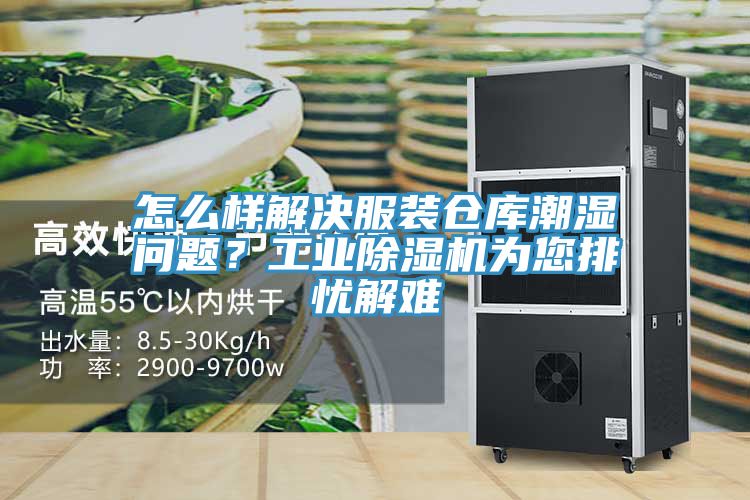 怎么样解决服装仓库潮湿问题？工业免费看操逼软件为您排忧解难