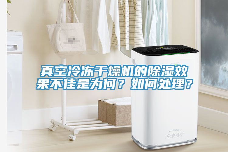 真空冷冻干燥机的除湿效果不佳是为何？如何处理？