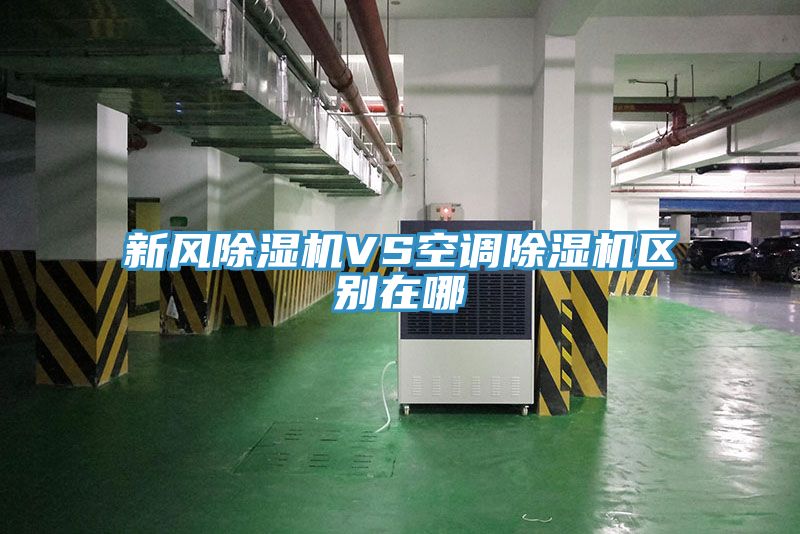 新风免费看操逼软件VS空调免费看操逼软件区别在哪