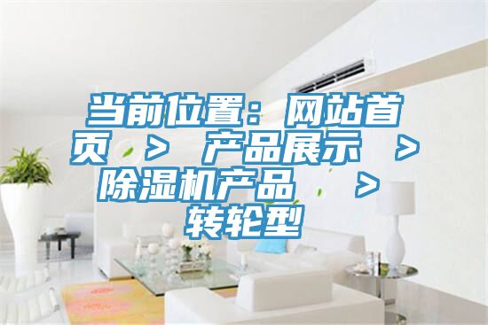 当前位置：网站首页 ＞ 产品展示 ＞ 免费看操逼软件产品  ＞ 转轮型