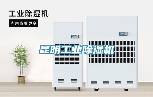 昆明工业免费看操逼软件