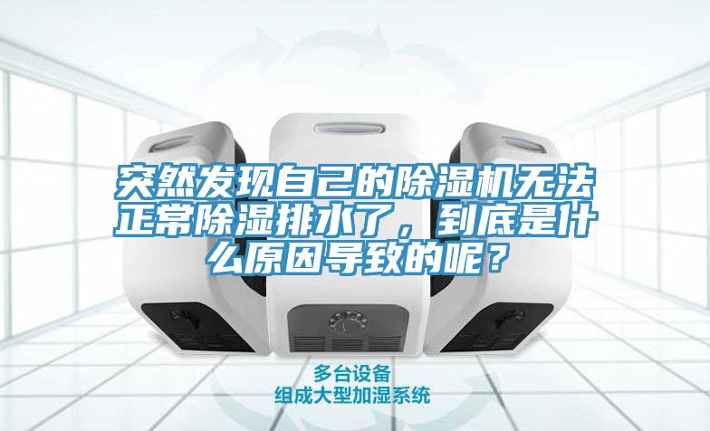 突然发现自己的免费看操逼软件无法正常除湿排水了，到底是什么原因导致的呢？