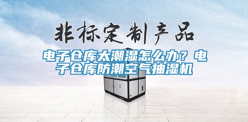 电子仓库太潮湿怎么办？电子仓库防潮空气抽湿机