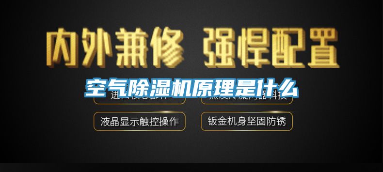 空气免费看操逼软件原理是什么