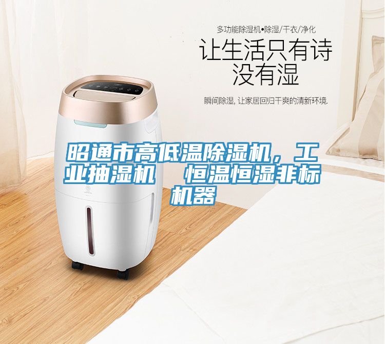昭通市高低温免费看操逼软件，工业抽湿机  恒温恒湿非标机器