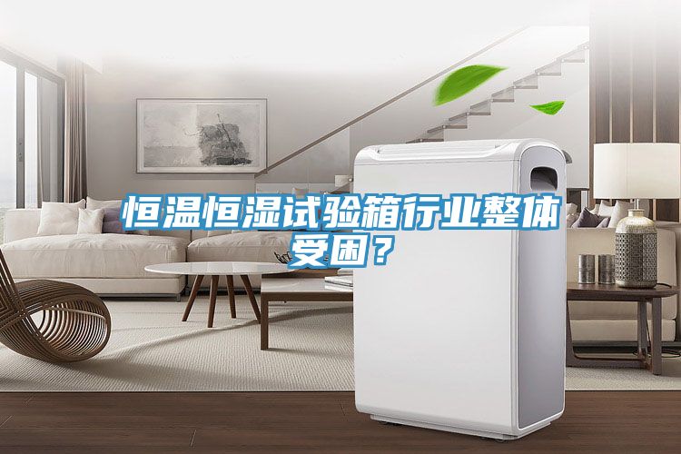 恒温恒湿试验箱行业整体受困？