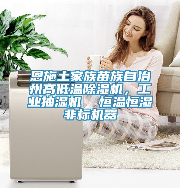 恩施土家族苗族自治州高低温免费看操逼软件，工业抽湿机  恒温恒湿非标机器