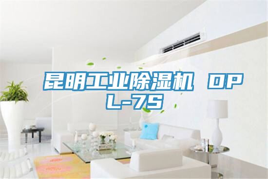 昆明工业免费看操逼软件 DPL-7S