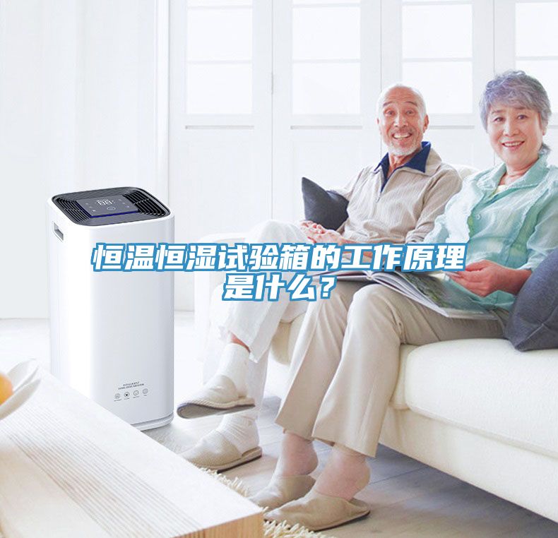 恒温恒湿试验箱的工作原理是什么？