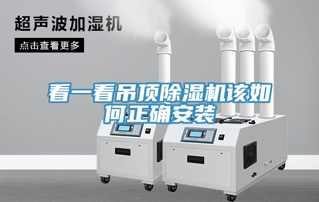 看一看吊顶免费看操逼软件该如何正确安装