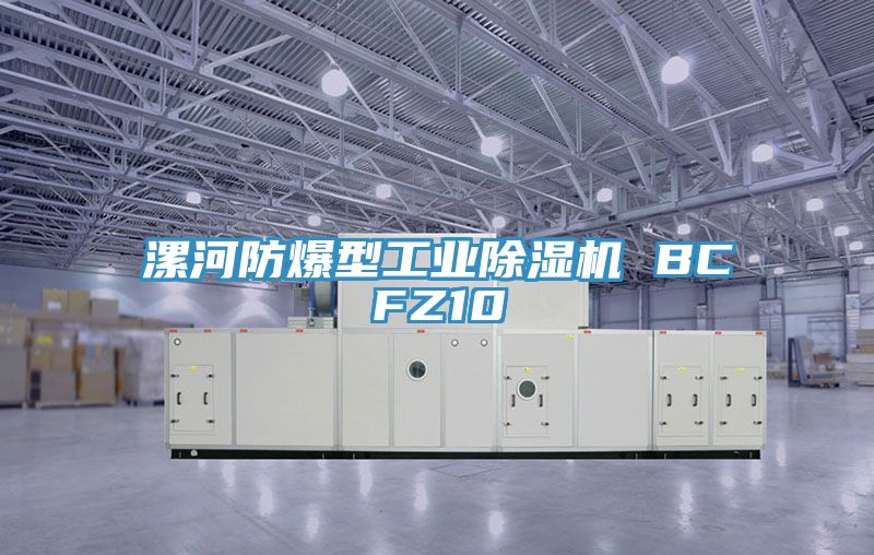 漯河防爆型工业免费看操逼软件 BCFZ10