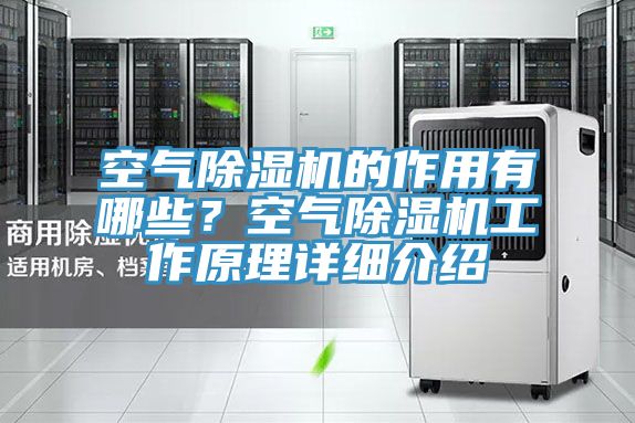 空气免费看操逼软件的作用有哪些？空气免费看操逼软件工作原理详细介绍