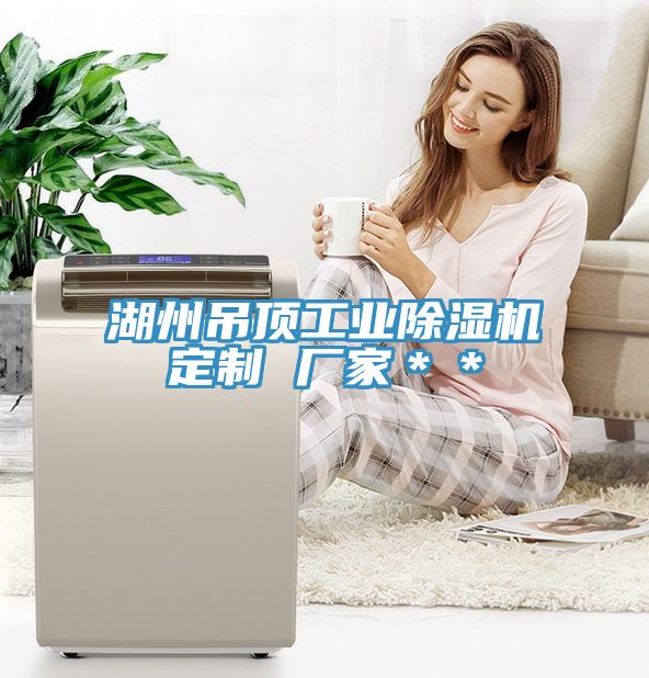 湖州吊顶工业免费看操逼软件定制 厂家＊＊