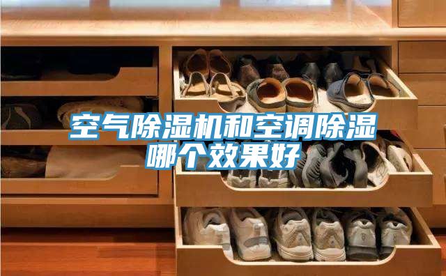 空气免费看操逼软件和空调除湿哪个效果好