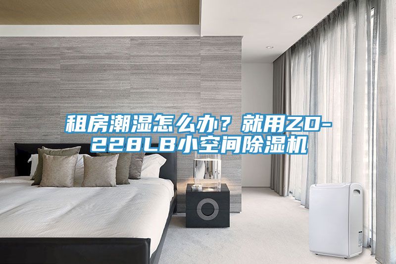 租房潮湿怎么办？就用ZD-228LB小空间免费看操逼软件